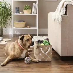 Taupe Trellis Paw Print Storage Basket, 14 in. Baskets & Boxes