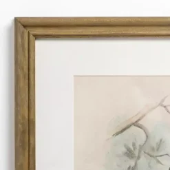 Kirklands Home Framed Art|Tengmalm Owl Framed Art Print