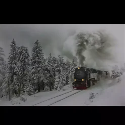 Train in Winter Woods LED Canvas Art Print Christmas Art & Wall Decor