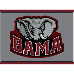 Kirklands Home Area Rugs|University of Alabama Area Rug, 4x6 Gray