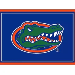 Kirklands Home Area Rugs|University of Florida Area Rug, 3x4