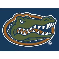 Kirklands Home Area Rugs|University of Florida Area Rug, 4x6