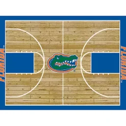 Kirklands Home Area Rugs|University of Florida Courtside Area Rug, 4x6