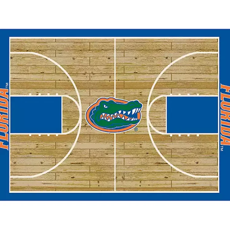 Kirklands Home Area Rugs|University of Florida Courtside Area Rug, 4x6