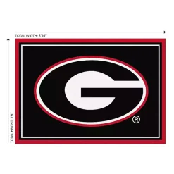 Kirklands Home Area Rugs|University of Georgia Area Rug, 3x4