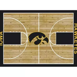 Kirklands Home Area Rugs|University of Iowa Courtside Area Rug, 4x6