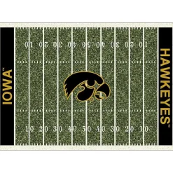 Kirklands Home Area Rugs|University of Iowa Homefield Area Rug, 6x8