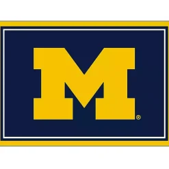 Kirklands Home Area Rugs|University of Michigan Area Rug, 3x4
