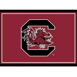 Kirklands Home Area Rugs|University of South Carolina Area Rug, 3x4