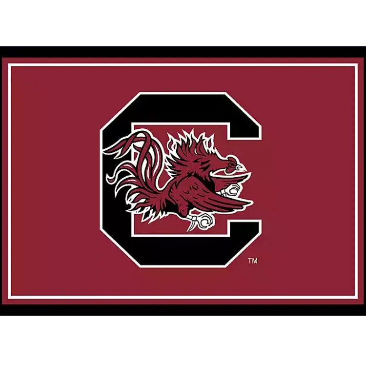 Kirklands Home Area Rugs|University of South Carolina Area Rug, 3x4