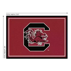 Kirklands Home Area Rugs|University of South Carolina Area Rug, 3x4