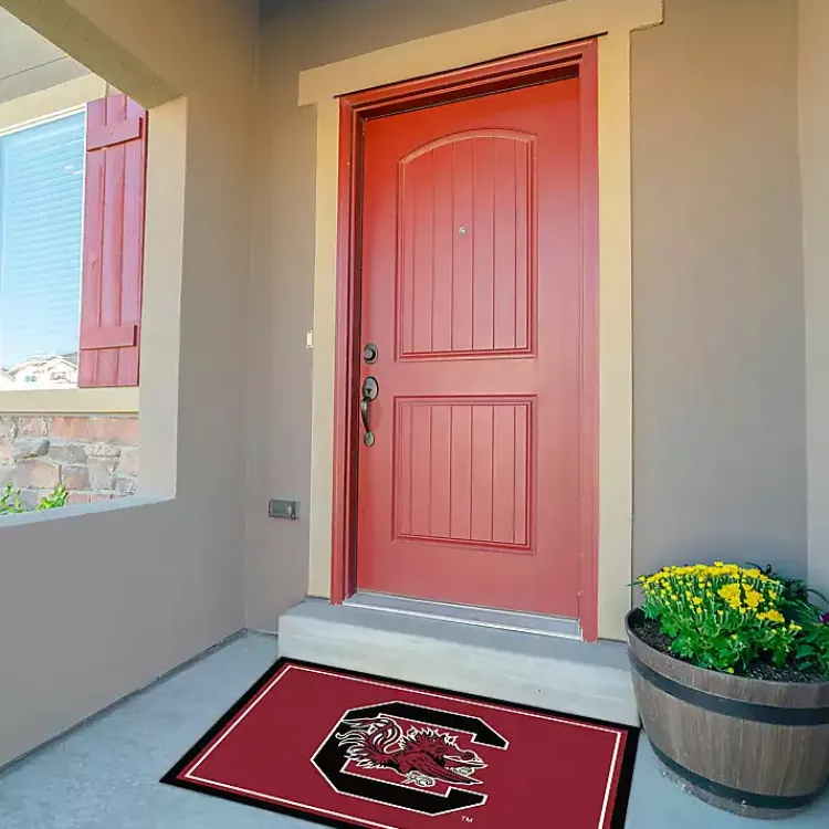 Kirklands Home Area Rugs|University of South Carolina Area Rug, 3x4