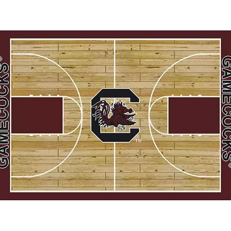 Kirklands Home Area Rugs|University of South Carolina Courtside Rug, 4x6