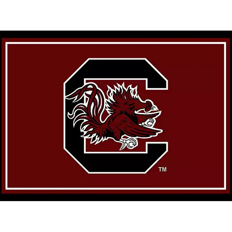 Kirklands Home Area Rugs|University of South Carolina Area Rug, 4x6 Red