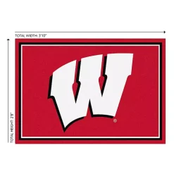 Kirklands Home Area Rugs|University of Wisconsin Area Rug, 3x4