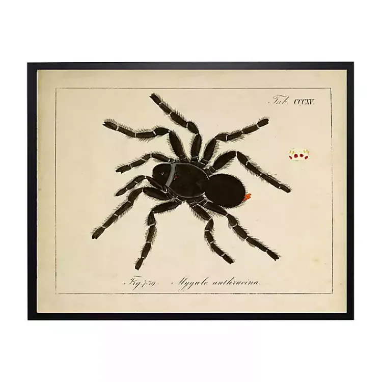 Outlet Vintage Black Spider Halloween Wall Plaque Halloween