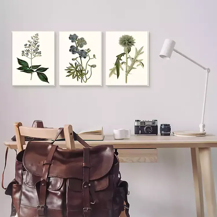 Kirklands Home Framed Art|Vintage Blue Flowers Framed Art Prints, Set of 3