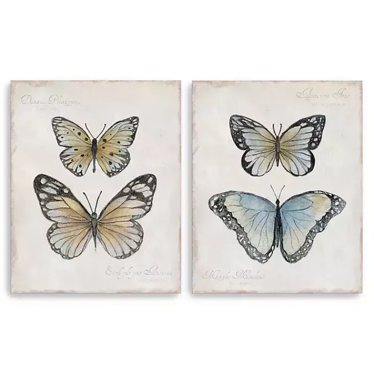 Kirklands Home Canvas Art|Vintage Butterflies Canvas Art Prints, Set of 2