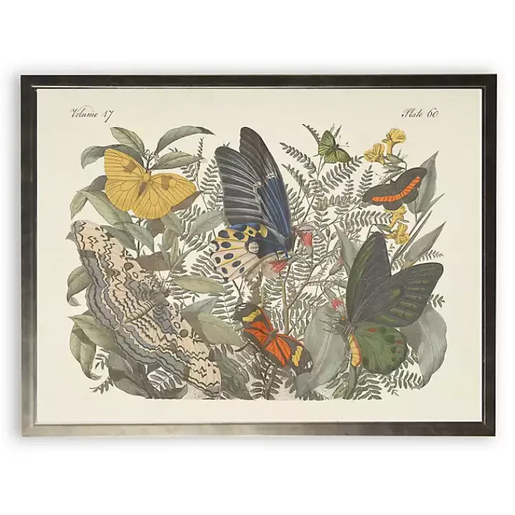 Kirklands Home Framed Art|Vintage Butterfly Bookplate Framed Art Print