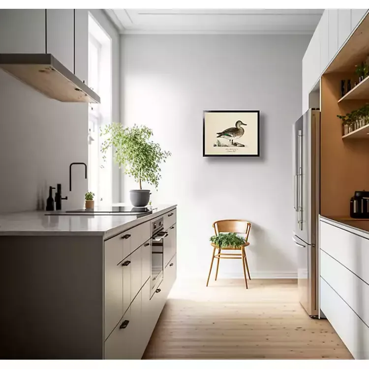 Kirklands Home Framed Art|Vintage Common Teal Duck Framed Art Print