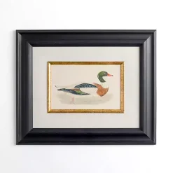 Kirklands Home Framed Art|Vintage Duck Framed Art Print Multi