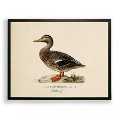 Kirklands Home Framed Art|Vintage Female Mallard Duck Framed Art Print