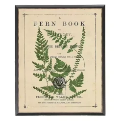 Kirklands Home Framed Art|Vintage Fern II Framed Art Print Multi