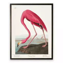 Kirklands Home Framed Art|Vintage Flamingo Bookplate Framed Art Print