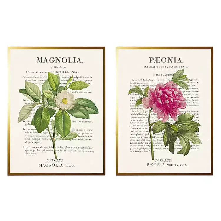 Kirklands Home Framed Art|Vintage Floral Diagram Framed Art Prints, Set of 2