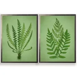 Kirklands Home Framed Art|Vintage Ferns II Framed Art Prints, Set of 2 Green