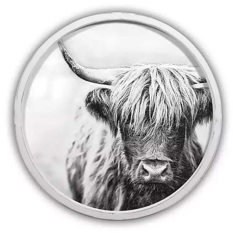 Kirklands Home Framed Art|Vintage Highland White Framed Art Print