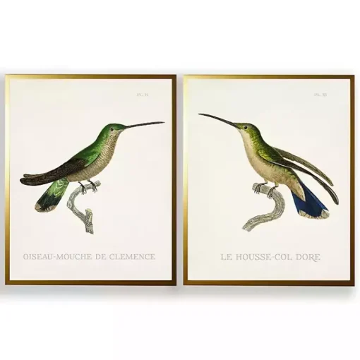 Kirklands Home Framed Art|Vintage Hummingbird II 2-pc. Framed Art Print Set