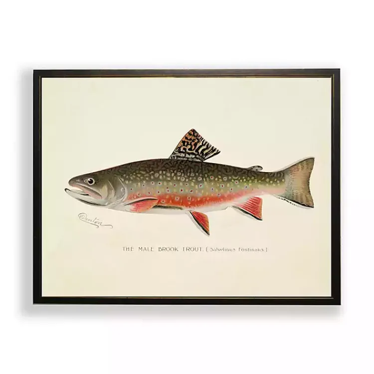 Kirklands Home Framed Art|Vintage Male Book Trout Framed Art Print