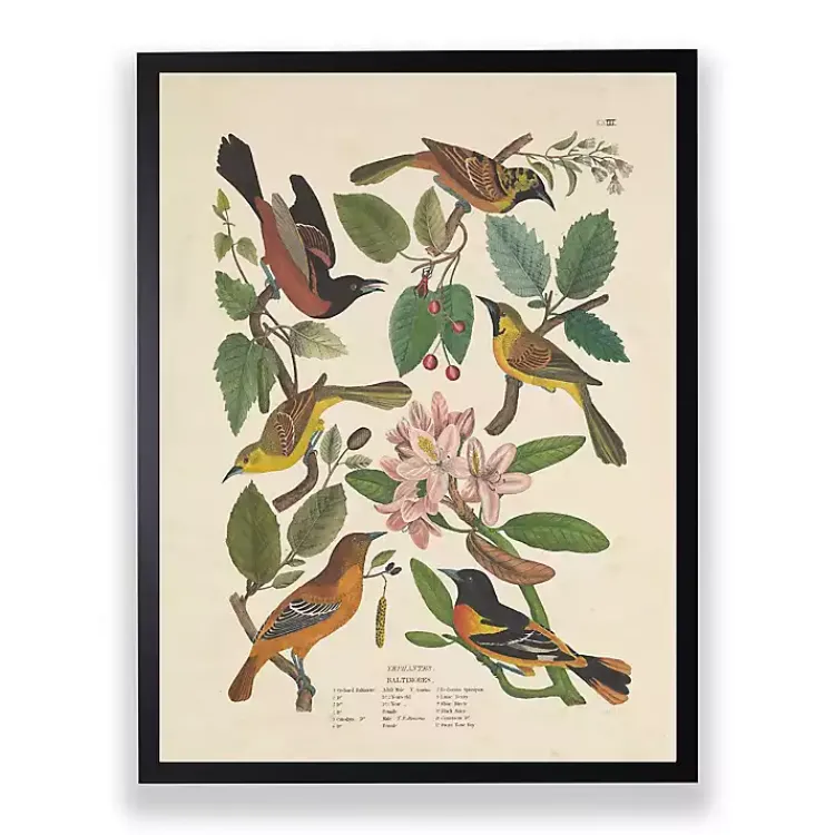 Kirklands Home Framed Art|Vintage Oriole Birds Framed Art Print