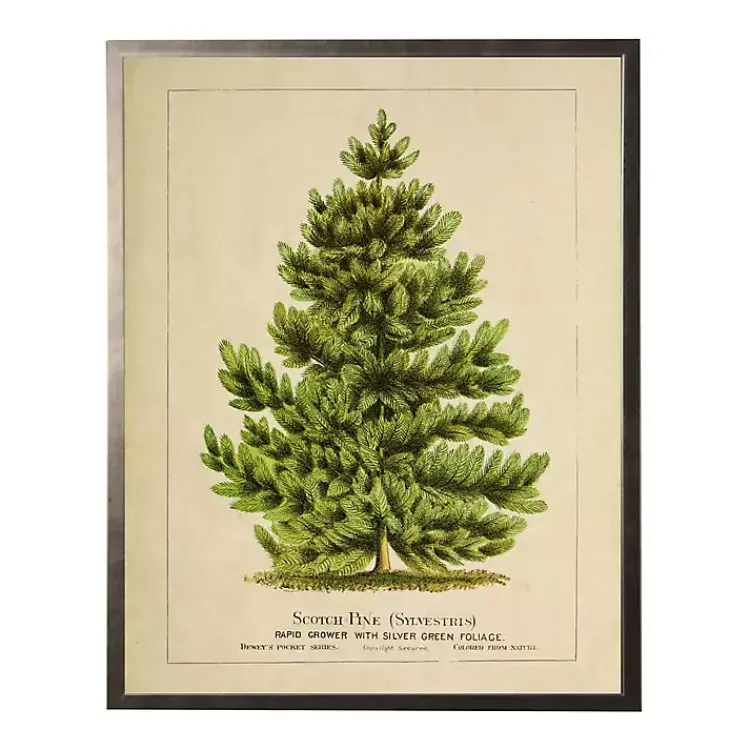 Sale Vintage Pine Tree Framed Art Print Christmas Art & Wall Decor