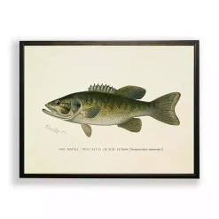 Kirklands Home Framed Art|Vintage Small Mouthed Bass Framed Art Print