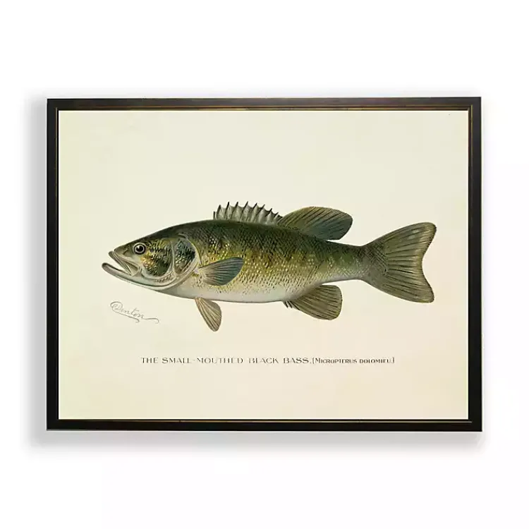 Kirklands Home Framed Art|Vintage Small Mouthed Bass Framed Art Print