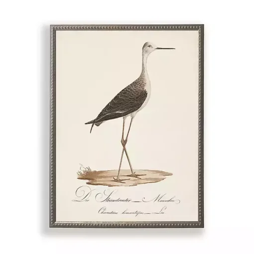 Kirklands Home Framed Art|Vintage Waterbird Facing Right Framed Art Print