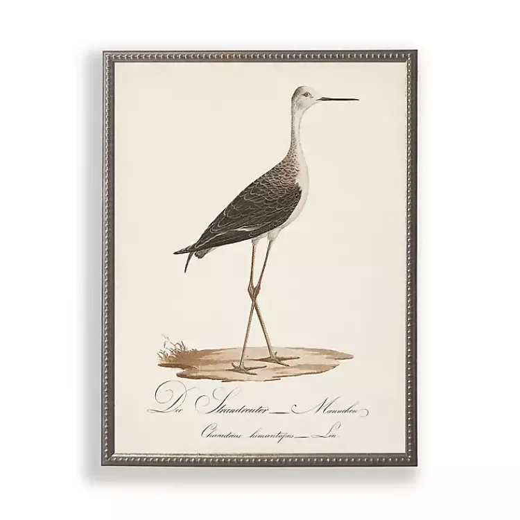 Kirklands Home Framed Art|Vintage Waterbird Facing Right Framed Art Print