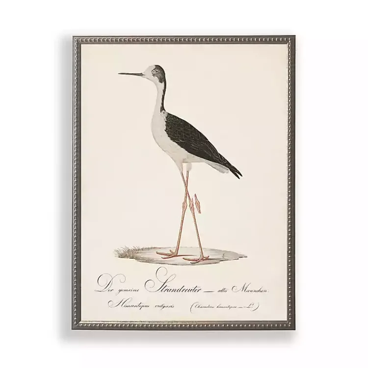Kirklands Home Framed Art|Vintage Waterbird Facing Left Framed Art Print