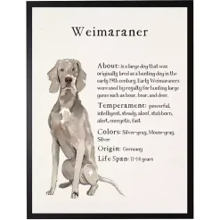 Kirklands Home Wall Quotes & Signs|Weimaraner Facts Framed Wall Plaque