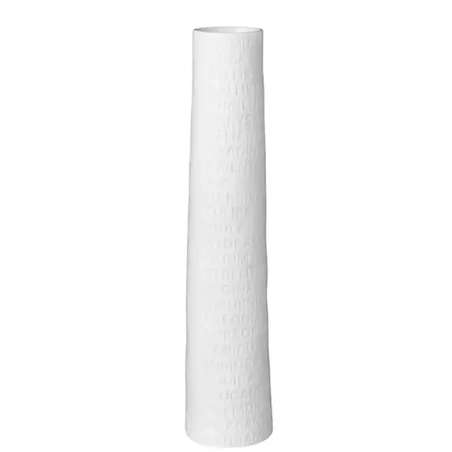 Discount Ceramic Flower Names Embossed Vase, 9 in. Vases