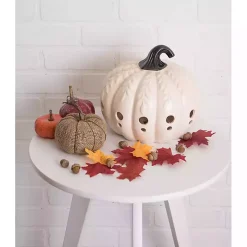 Best Ceramic Leaf Pre-Lit Pumpkin Lantern Lanterns