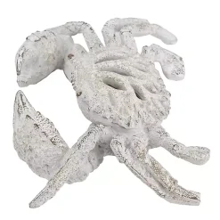 Best Coral Crab Figurine Statues & Figurines