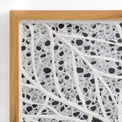 Kirklands Home Wall Plaques|White Paper Leaf Shadowbox Wall Plaque