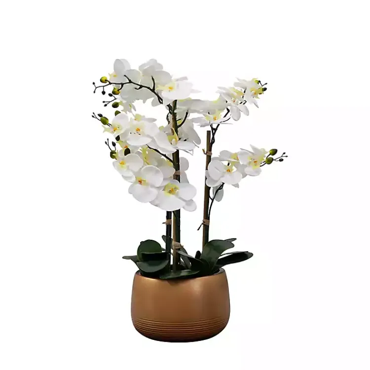 Outlet White Real Touch Orchid Arrangement in Gold Pot Arrangements & Greenery