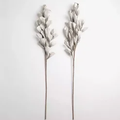 Outlet Shell Leaf Stem Stems & Bouquets