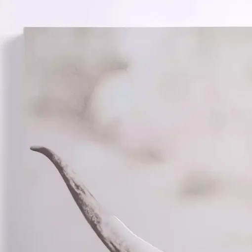 Kirklands Home Canvas Art|Wild Highland Cow Canvas Art Print