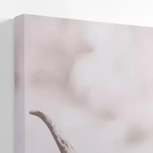 Kirklands Home Canvas Art|Wild Highland Cow Canvas Art Print