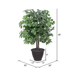 New Wood Trunk Ficus Bush in Rattan Basket Trees & Topiaries